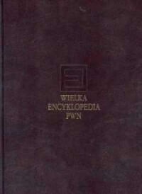 Wielka Encyklopedia PWN. Tom 8 - okładka książki