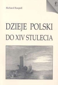 Dzieje Polski do XIV stulecia - okładka książki