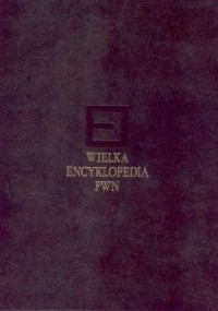 Wielka Encyklopedia PWN. Tom 10 - okładka książki