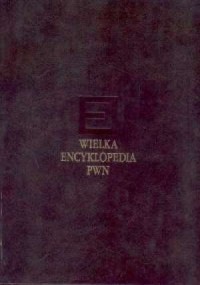 Wielka Encyklopedia PWN. Tom 11 - okładka książki