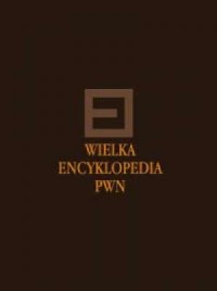 Wielka Encyklopedia PWN. Tom 30 - okładka książki